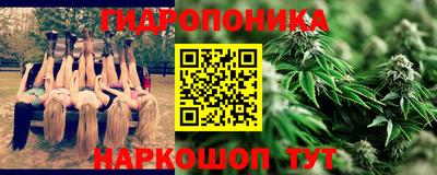 spice Гусь-Хрустальный