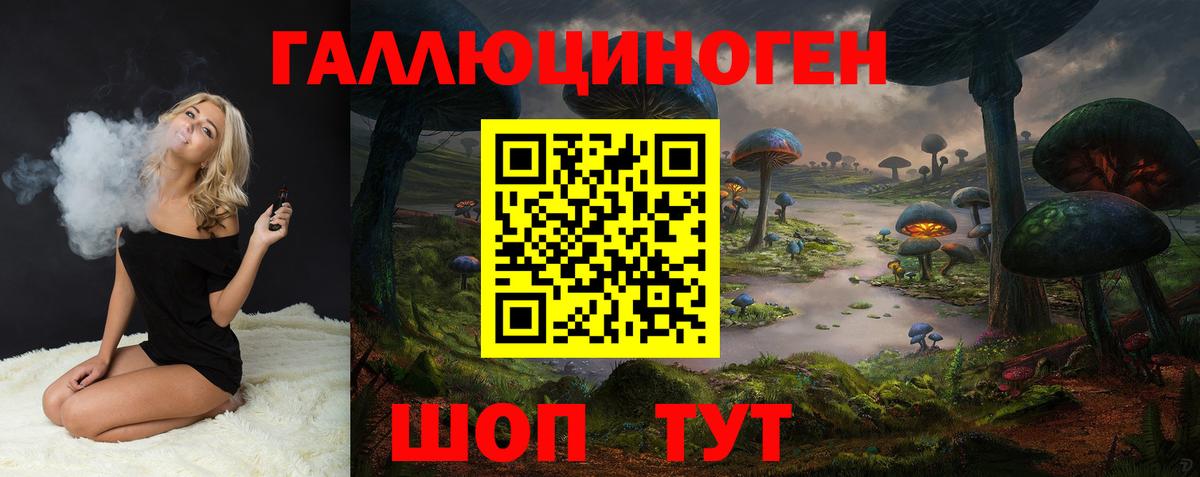 цены   Псилоцибиновые грибы Magic Shrooms  Вход с VPN  Электрогорск  Псилоцибиновые грибы Psilocybe 