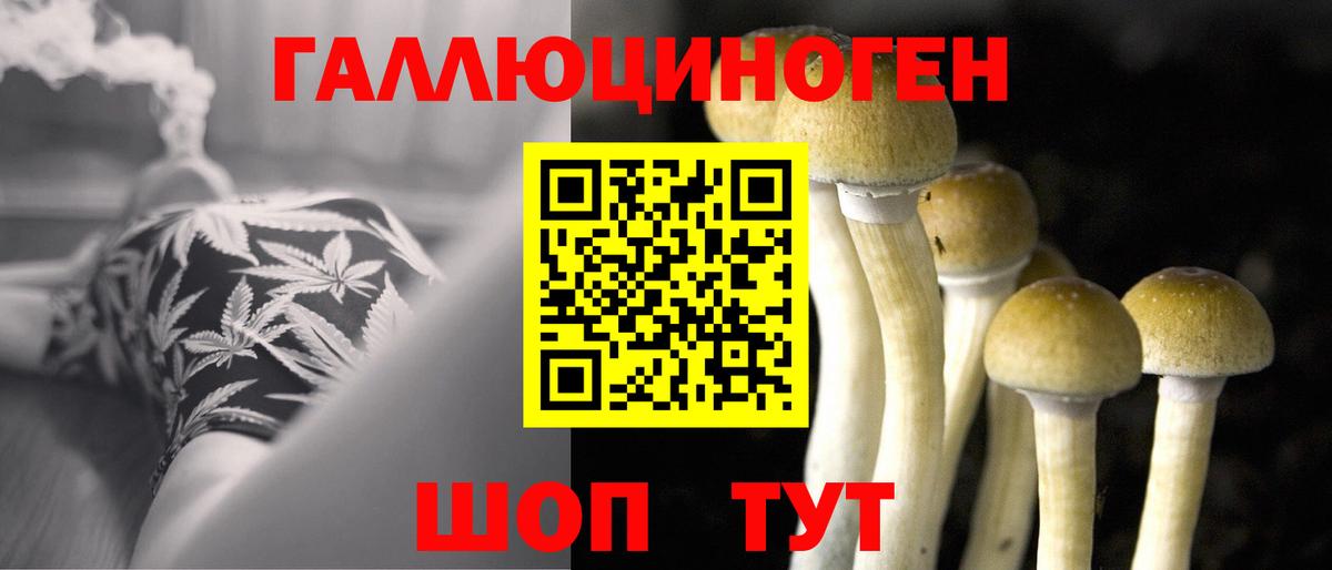 Псилоцибиновые грибы GOLDEN TEACHER Электрогорск